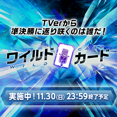 ワイルドカード