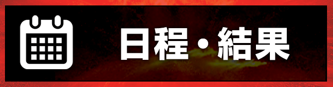 日程・結果