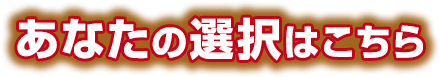 あなたの選択はこちら