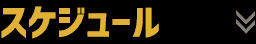 大会の流れ